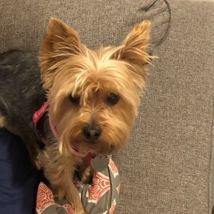 Meet your Posher, Anne